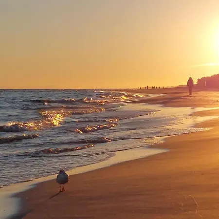 Awesome In With Sauna * Jantar