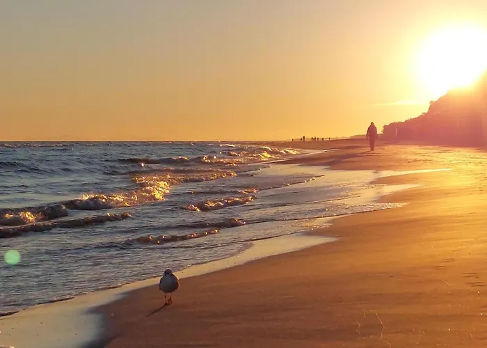 Awesome In With Sauna * Jantar